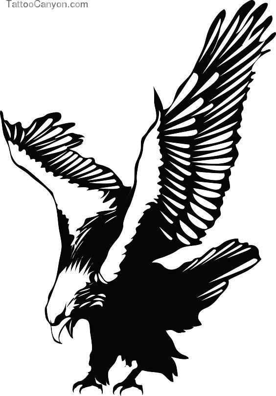 564x810 Landing Eagle Clipart Clip Art Images - Eagle Landing Drawing
