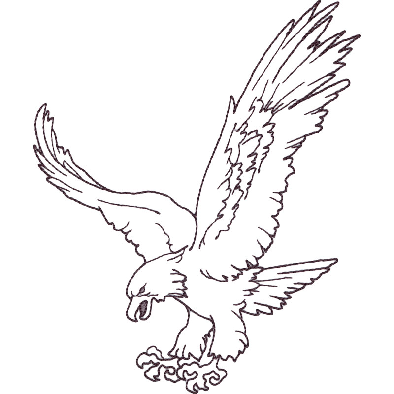800x800 Drawn Eagle Screaming Eagle - Eagle Line Drawing