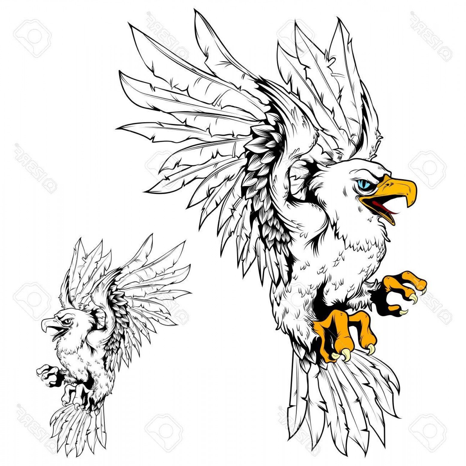 1558x1560 Eagle Line Art Vector Soidergi - Eagle Line Drawing