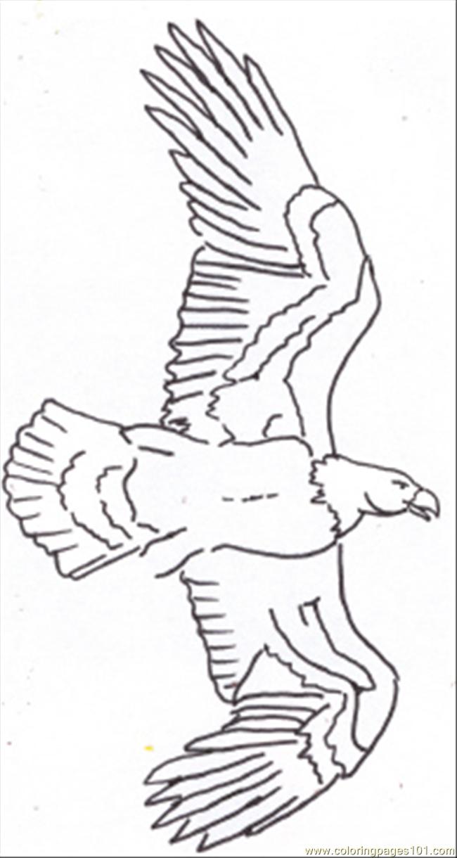 650x1220 Eagle Line Drawing Coloring Page - Eagle Line Drawing