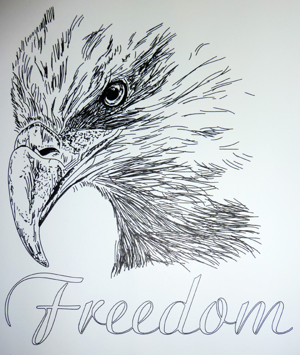600x710 Eagle Line Drawing Make The Cut! Forum - Eagle Line Drawing