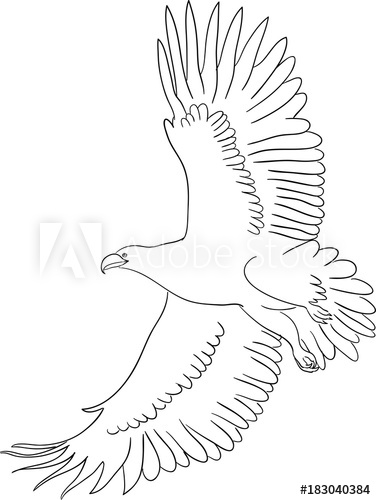 376x500 Eagle Line Art Good Use For Symbol, Logo, Web Icon, Mascot - Eagle Line Drawing