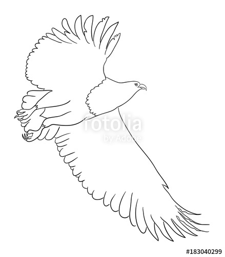 439x500 Eagle Line Art Good Use For Symbol, Logo, Web Icon, Mascot - Eagle Line Drawing