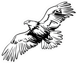250x205 Soaring Eagle Illustration Sticker - Eagle Line Drawing