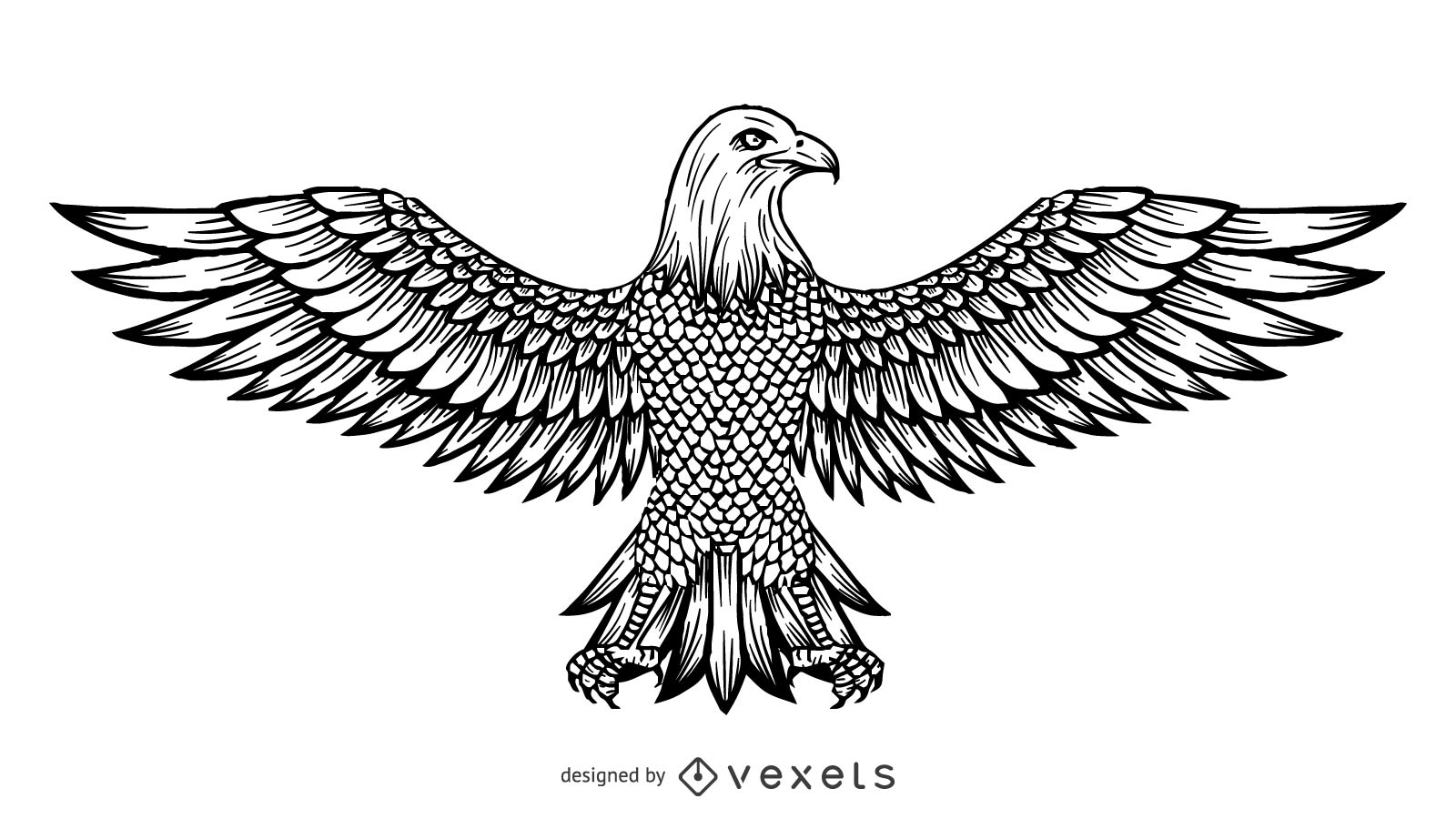 1600x900 Vector Line Drawing Of The Eagle - Eagle Line Drawing