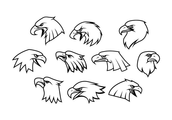 700x490 eagle mascot logos - Eagle Mascot Drawing