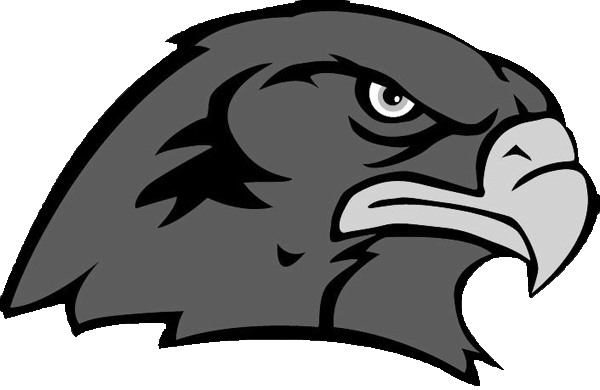 600x390 mascot drawing hawk transparent png clipart free download - Eagle Mascot Drawing