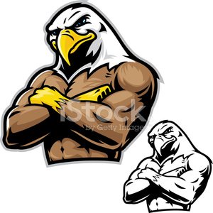 300x300 power eagle mascot stock vectors - Eagle Mascot Drawing