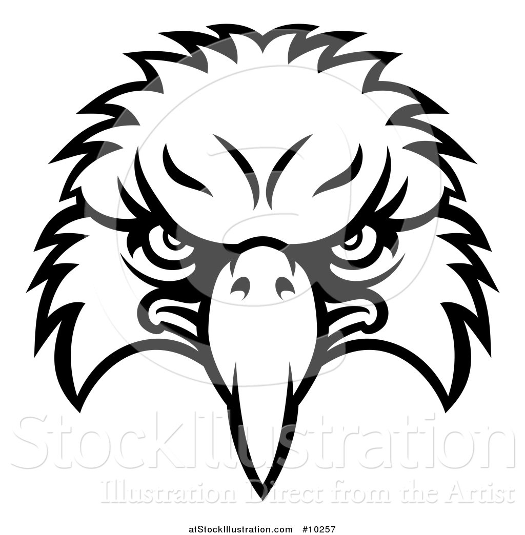 1024x1044 vector illustration of a black and white bald eagle mascot face - Eagle Mascot Drawing