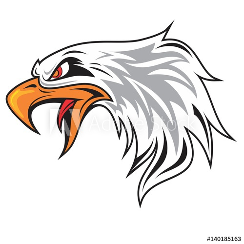 500x500 hand drawing eagle head mascot - Eagle Mascot Drawing