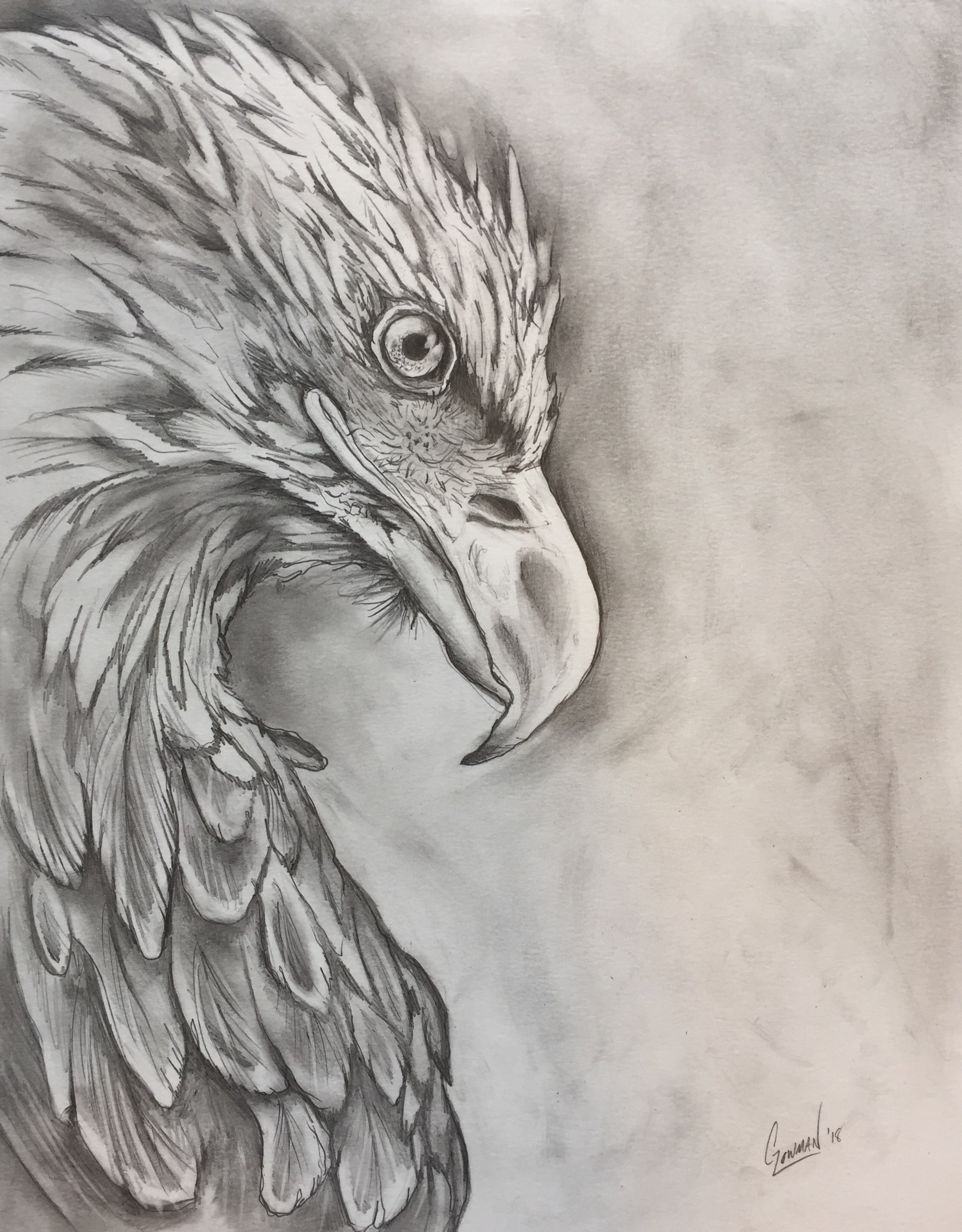 Eagle Pencil Drawing at PaintingValley.com | Explore collection of ...