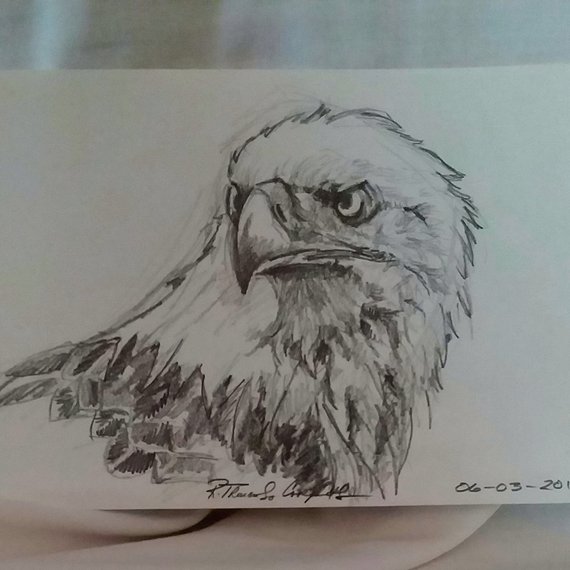 570x570 items similar to eagle bald eagle american eagle pencil drawing - Eagle Pencil Drawing