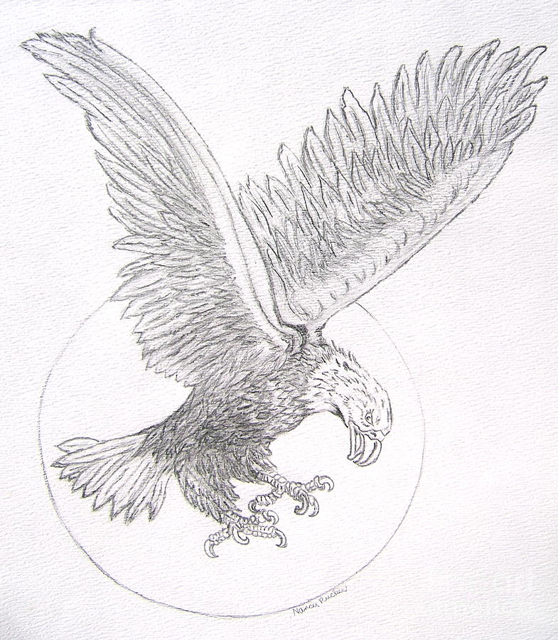 785x900 Pencil Sketches Eagle - Eagle Pencil Drawing