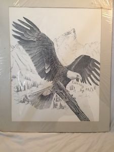 225x300 Bald Eagle Pencil Drawing Michael Shannon Ebay - Eagle Pencil Drawing