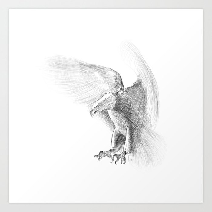 700x700 Eagle - Eagle Pencil Drawing