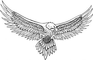 310x202 Simple Eagle Drawing Free Vector Free Vectors Ui Download - Eagle Simple Drawing