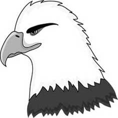 235x235 Bald Eagle Drawings Capturing The Magic Of A National Symbol - Eagle Simple Drawing