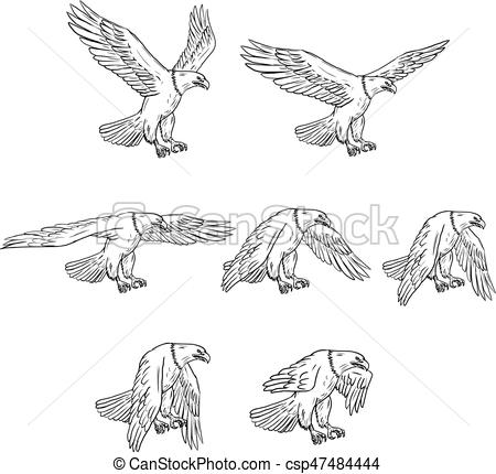 450x430 Bald Eagle Flying Drawing Collection Set Collection Set - Eagle Soaring Drawing