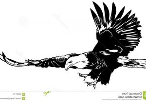 300x210 Black And White Eagle Drawing Bald Eagle Flying Hand Draw - Eagle Soaring Drawing