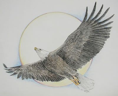 400x326 draw eagle on soaring eagle print tattoo eagle drawing - Eagle Soaring Drawing