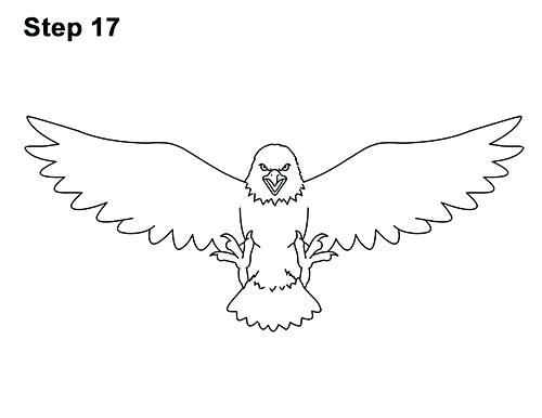 500x386 Flying Eagle Coloring - Eagle Soaring Drawing