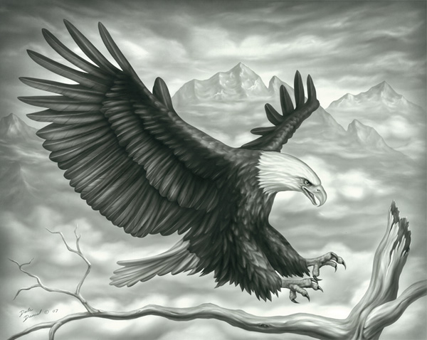 600x478 Pictures Eagle Flying Pencil Sketch - Eagle Soaring Drawing
