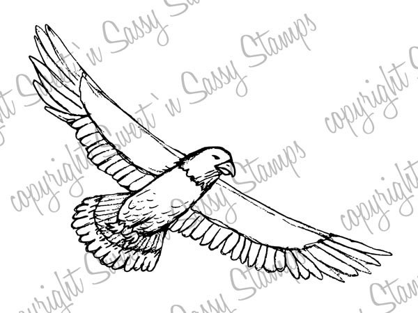 600x450 Soaring Eagle - Eagle Soaring Drawing
