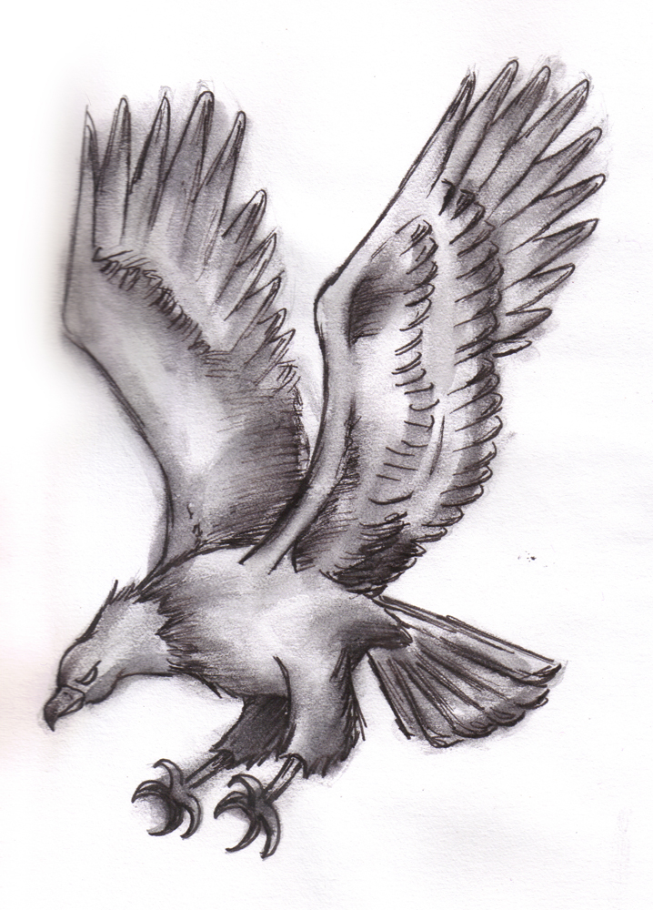 718x1000 Eagle Drawing Flying Eagle For Free Download - Eagle Soaring Drawing