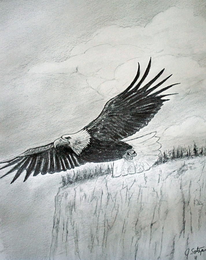 713x900 Soaring Eagle Drawing - Eagle Soaring Drawing