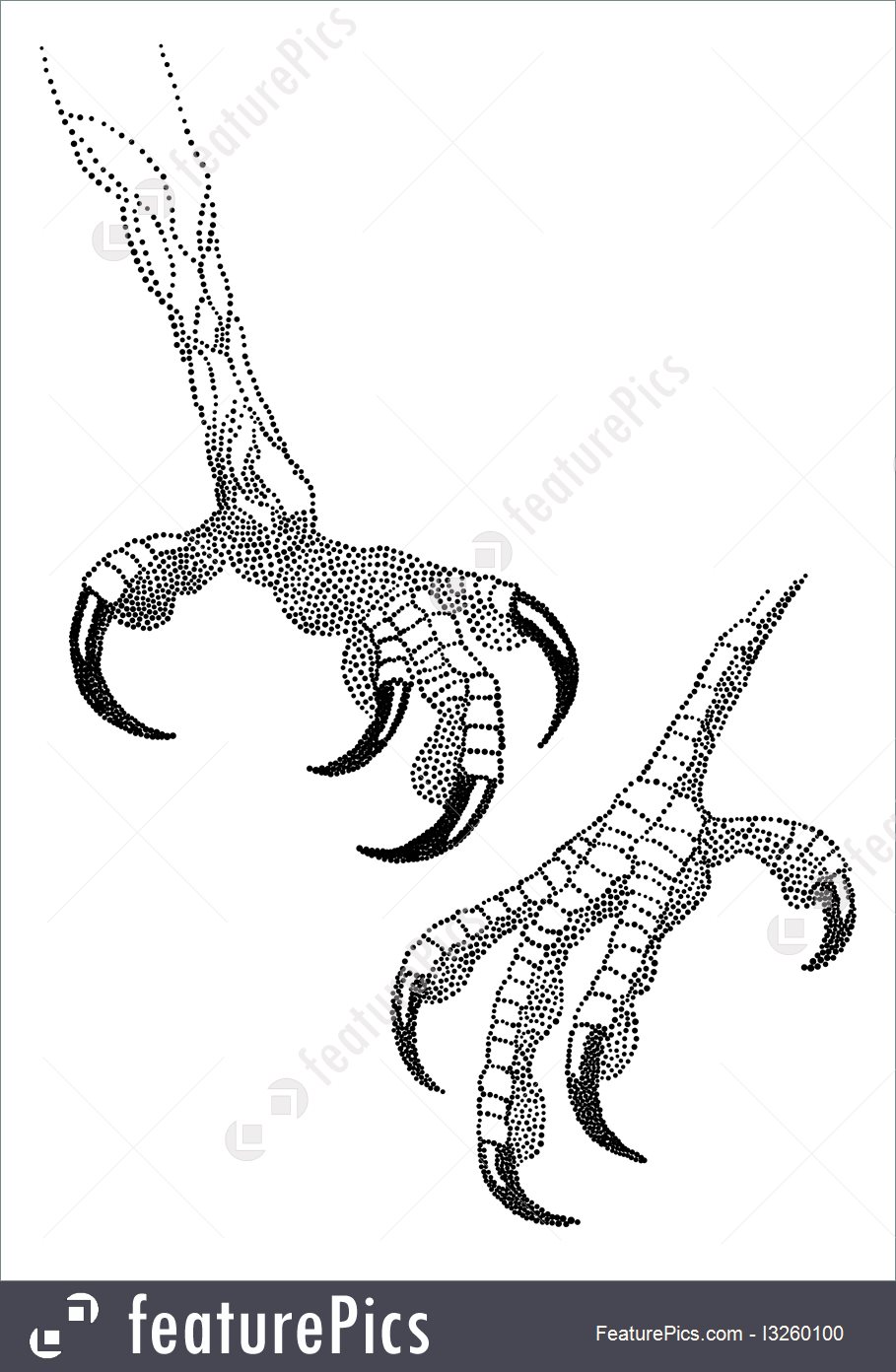 909x1392 Eagle Talon, Vector - Eagle Talons Drawing
