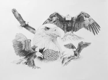 375x281 Talon Drawings For Sale Saatchi Art - Eagle Talons Drawing