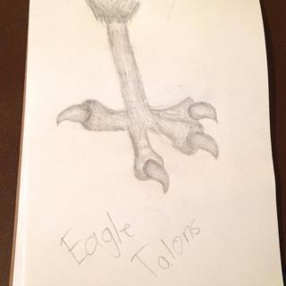 Eagle Talons Drawing at PaintingValley.com | Explore collection of