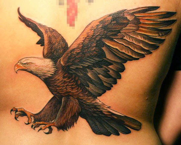 600x483 Eagle Tattoos - Eagle Tattoo Drawing