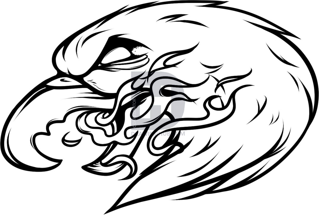 1069x720 How To Draw An Eagle Tattoo, Eagle Tattoo, Step - Eagle Tattoo Drawing
