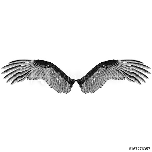 500x500 Eagle's Wings Monochrome Pattern - Eagle Wings Drawing