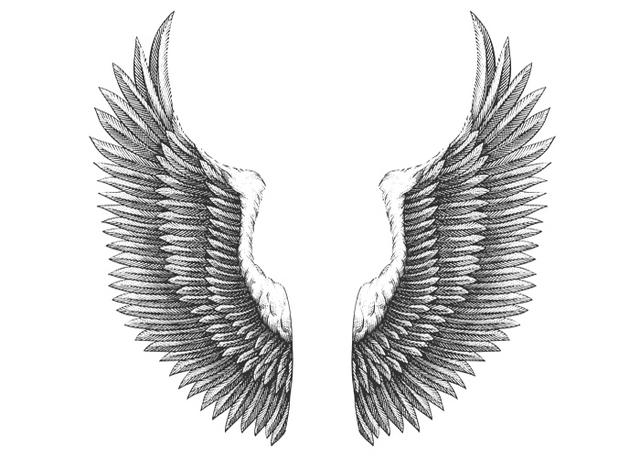 640x457 Eagle Wings Drawing Picture Drawing Skill - Eagle Wings Drawing