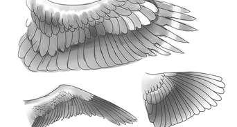342x184 Ways To Draw An Eagle - Eagle Wings Drawing