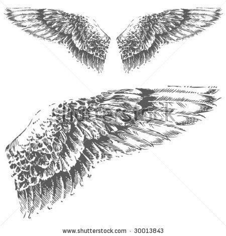 450x470 eagle wings drawings wings - Eagle Wings Drawing