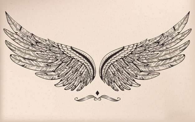 626x391 Eagle Wings Vectors, Photos And Free Download - Eagle Wings Drawing