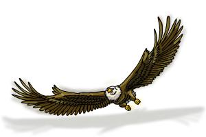 300x200 How To Draw Eagle Wings - Eagle Wings Drawing