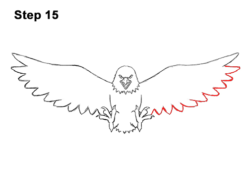 500x386 How To Draw A Bald Eagle - Eagle Wings Drawing