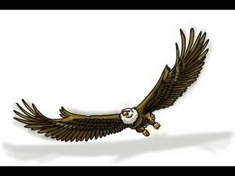 480x360 How To Draw Eagle Wings - Eagle Wings Drawing