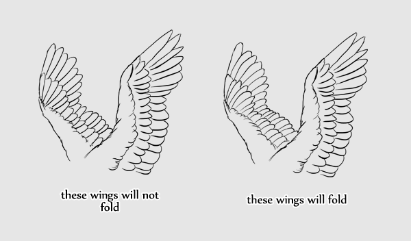 600x352 Taking Flight A Beginner's Guide Into Drawing Wings - Eagle Wings Drawing