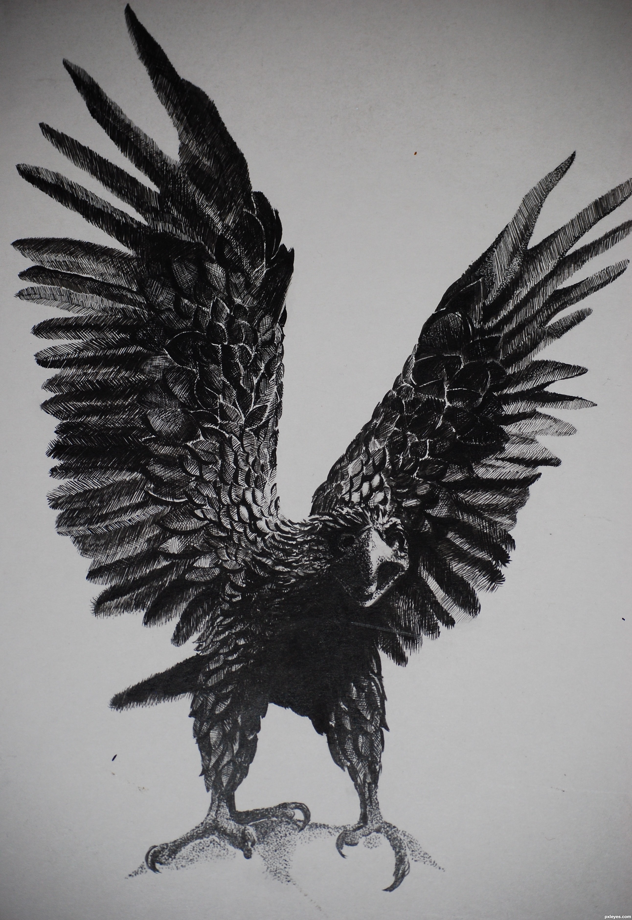 2584x3762 Eagle Wings Picture - Eagle Wings Drawing