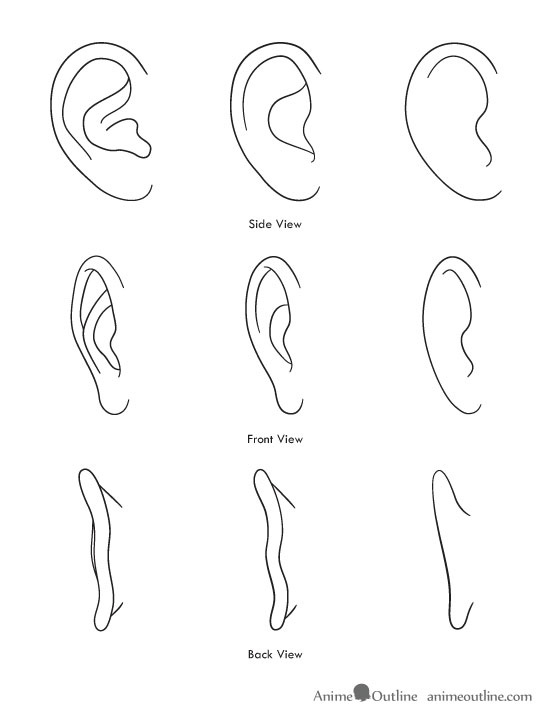 560x720 How To Draw Anime And Manga Ears - Ear Drawing