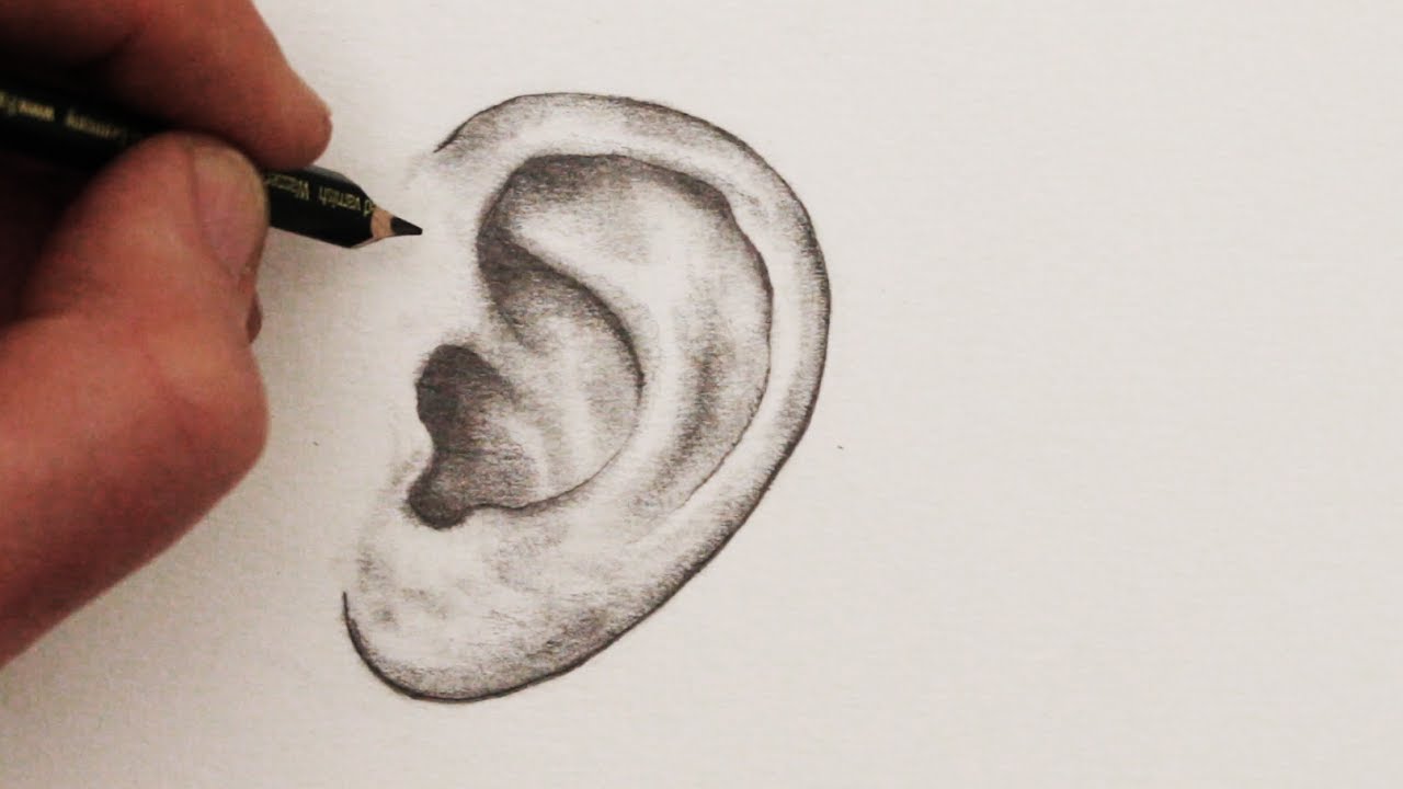 1280x720 How To Draw Ears Step - Ear Drawing