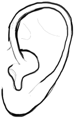 150x234 How To Draw Human Ears In Profile Step - Ear Drawing