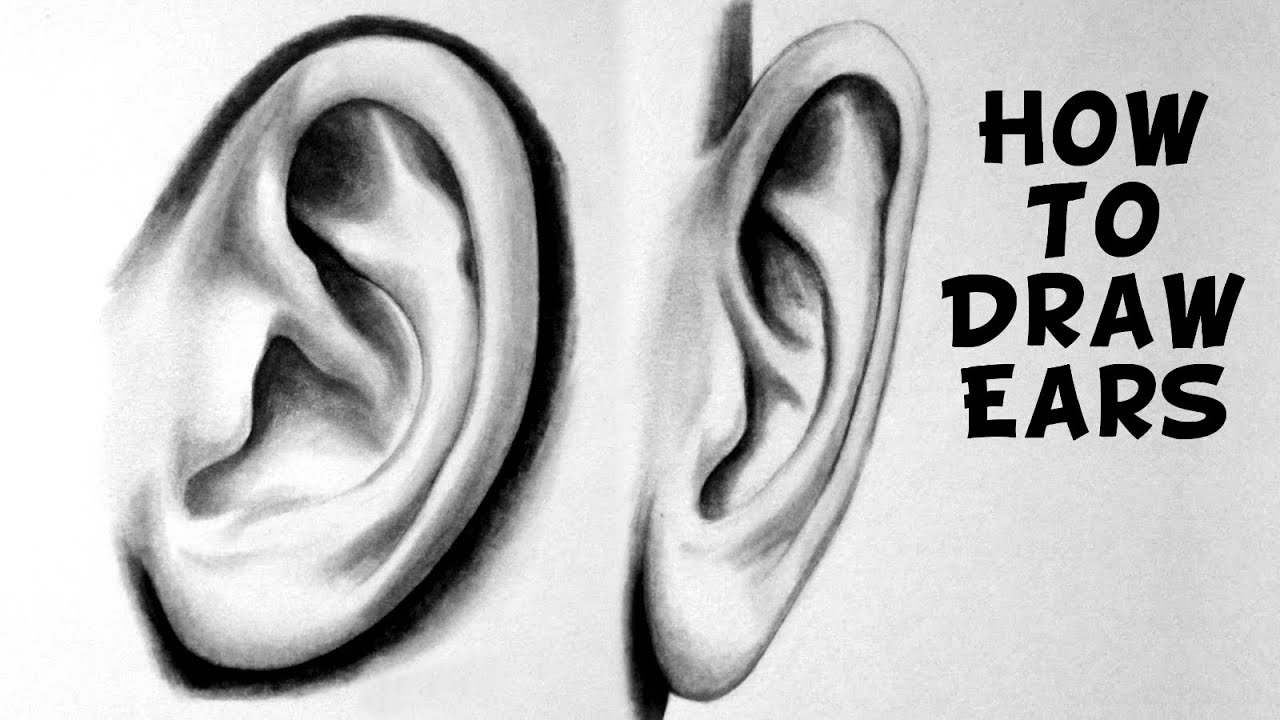1280x720 how to draw a realistic ear - Ear Drawing