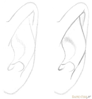 314x338 how to draw an ear from the front rapidfireart - Ear Drawing
