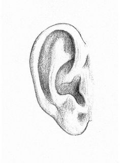236x320 how to draw ears! ears are so hard, this is so helpful art - Ear Drawing